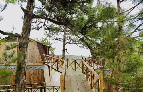 Da Lat Hotel | Kim Ngan Hills Eco-Resort