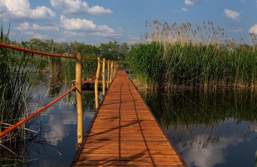 Nagyrev Apartment | KisházadVendégház