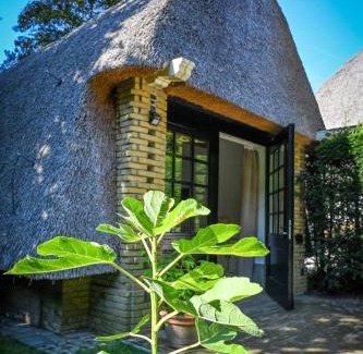 Municipality of Zutphen Bed & Breakfast | Kleine Buur