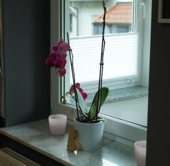 Oberrode Apartment | Kleines Paradies am Waldrand