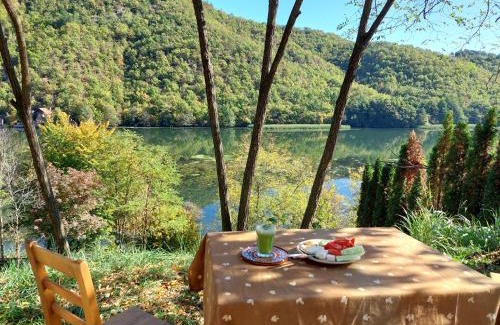 Central Serbia House | "Kod dva kestena"Warm and cozy house with lake view sauna