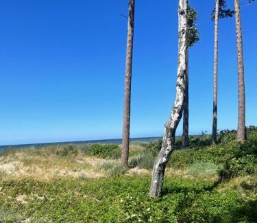 Postomino Cabin | Kotwica