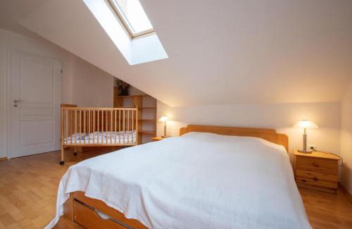 Cerny Dul Apartment | Krásný vybavený byt u sjezdovky