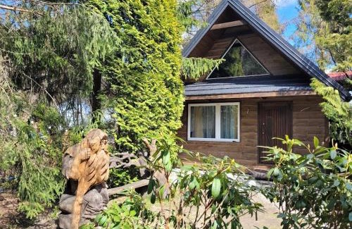 Wisla Ski Chalet | Księżycowy Domek Nad Potokiem