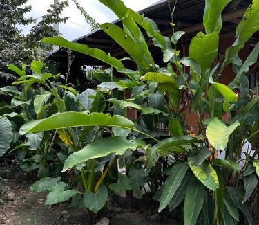 Palomino House | KUA Cabañas