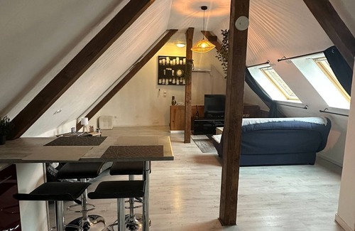 Entzheim Apartment | L' alcôve Confortable. air-conditioned apartment 15 m from Strasbourg!
