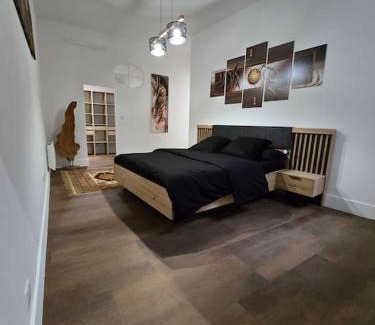 Centre Ville d'Ales Apartment | L'avéjan 170 m2 Alès 10 couchages