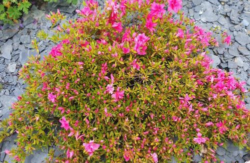 Saint-Gervais-en-Belin House | La Bélinoise, à proximité du circuit des 24h