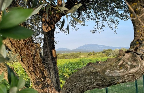 Buisson House | LA Bastide D'iris Superbe Bastide en Pierre Située à 6 km de Vaison la Romaine