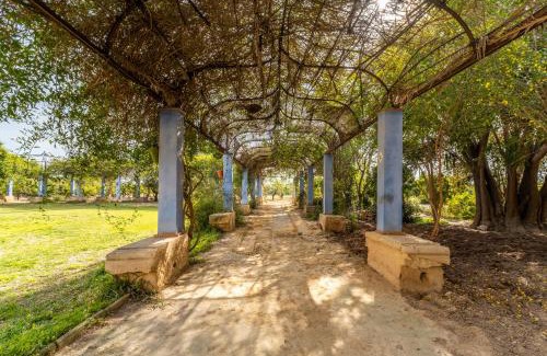 Catral House | La Carrasca