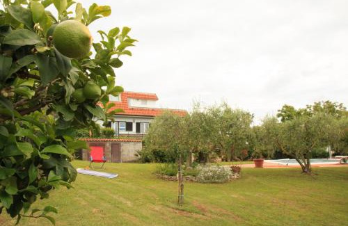 Aprilia Apartment | La casa di Iole