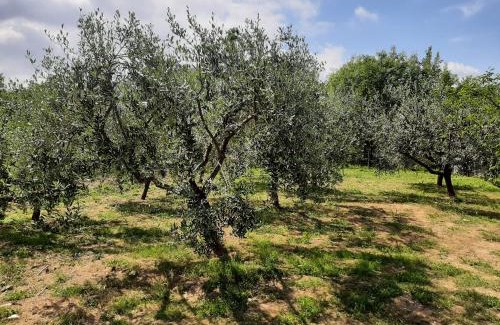 Ricco del Golfo di Spezia House | La casetta di Bianca