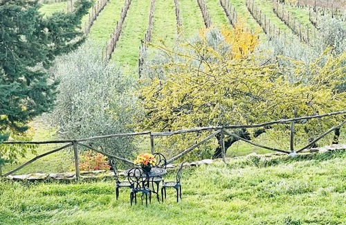 Greve in Chianti Apartment | La Chiantinelle Bed & Breakfast