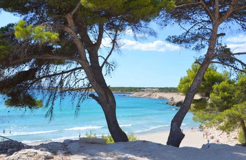 La Couronne Apartment | La Cigale charming studio in quiet residence