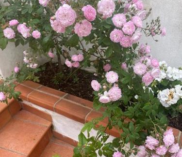 Agerola House | La dimora del vagabondo