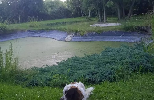 Favieres House | La Favièroise