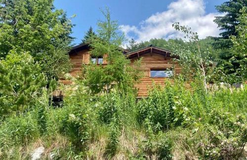 Allos Ski Chalet | La Foux d'Allos Cottage