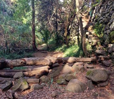 Teror House | La Herbolera Vv Apartamento