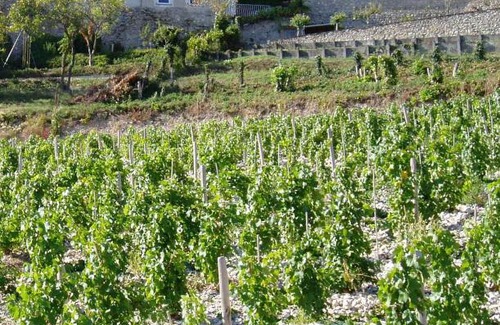 Sancerre House | La Maison du Guetteur