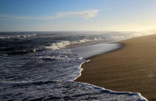 Rocha House | La Marea. Cabaña en el bosque, a pasos del mar