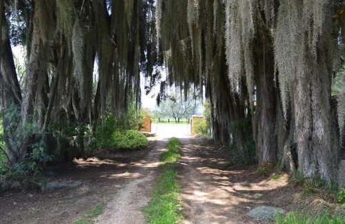 Nobsa Apartment | La Nueva Granja Hospedaje Rural