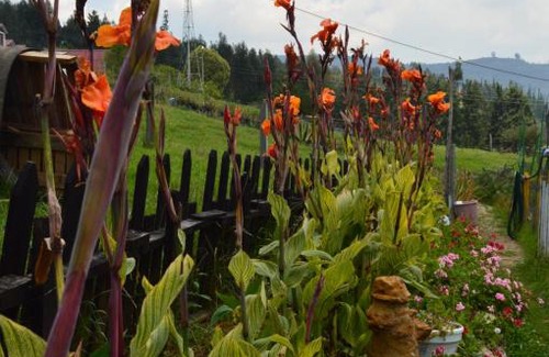 Nobsa Apartment | La Nueva Granja Hospedaje Rural