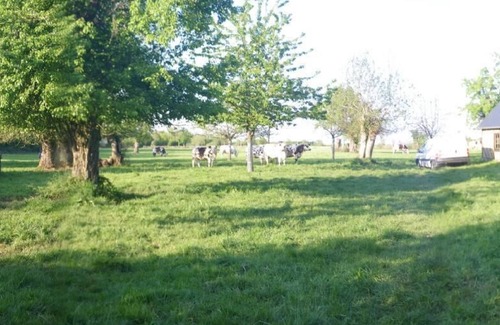Saint-Aubin-de-Bonneval House | "La Petite Cauvinière