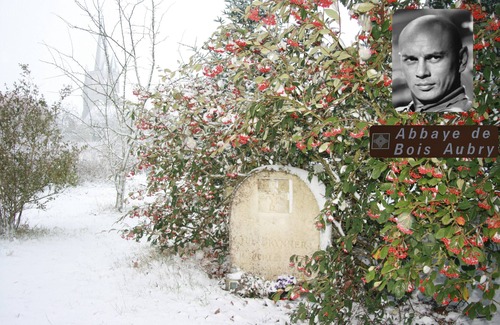Luze Cottage | La Porterie Gite de charme * Abbaye de Bois-Aubry,Yul Brynner's grave, 3HA