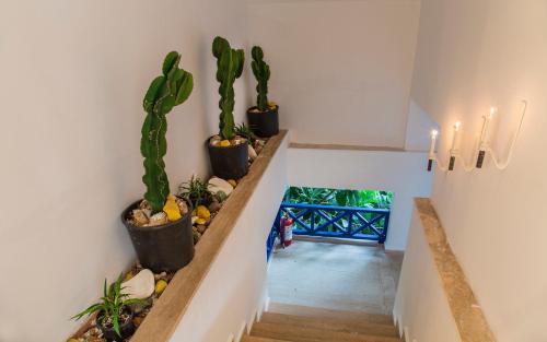Kas Hotel | La Salvia Hotel Kas