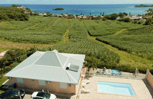 Tartane Villa | LA VUE DOMINANTE/TARTANE