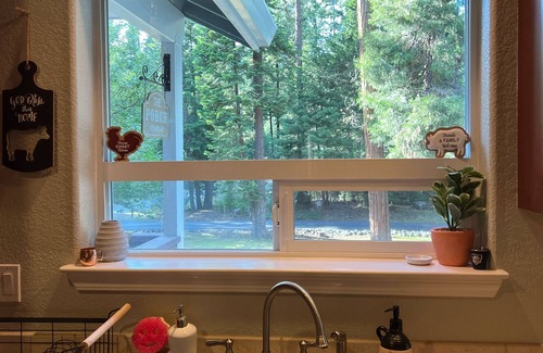 Mount Shasta House | Lake life at it's best - 4Bedroom/2.5Bathroom house