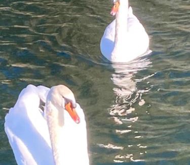 Castel Volturno Hotel | Lake Love Experience