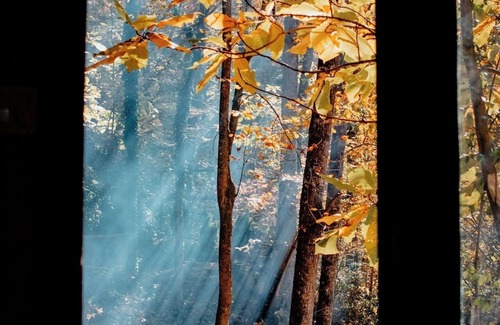Houston Cabin | Lakefront Cave with Waterfalls,Firepits, and Outside Showers
