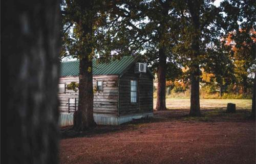 Mead House | Lakefront Cedar Cabin - 10