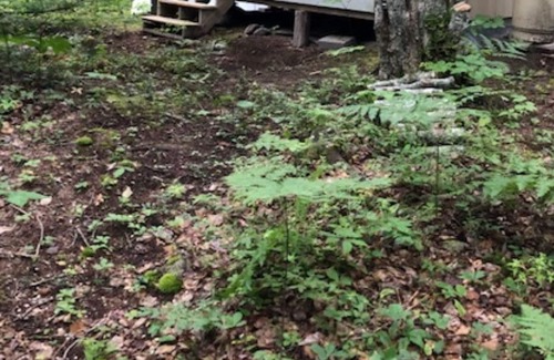 Lamoine Cabin | Lamoine Cabin on the Coast of Maine; just minutes from Acadia National Park