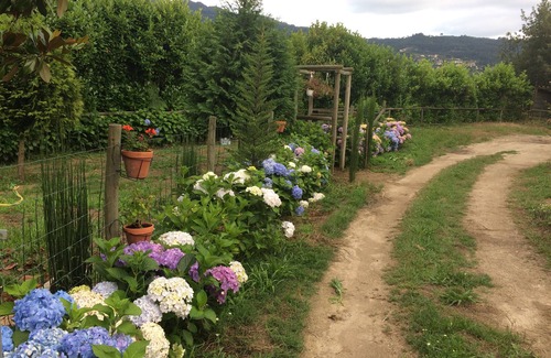 Varzea da Ovelha e Aliviada Cottage | Land Story - Country House