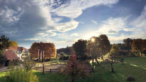 Niederwangen Hotel | Landguet Ried - Center for mindful living