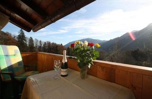 Bad Reichenhall Apartment | Landhaus Heisenbauer