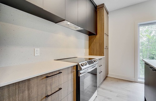 Ayers Cliff Condo | Large condo view & access to Lac Massawippi, near Ski Orford, Magog, Sherbrooke!