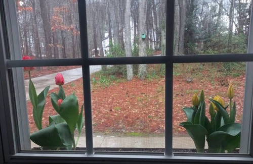 Sharpsburg House | Large garden appt, private access, modern kitchen, laundry, King bed, 4min shops