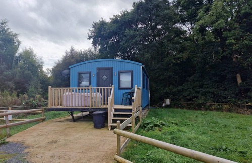 Llanfair Caereinion Cabin | Large Glamping Hut - Riverview 13