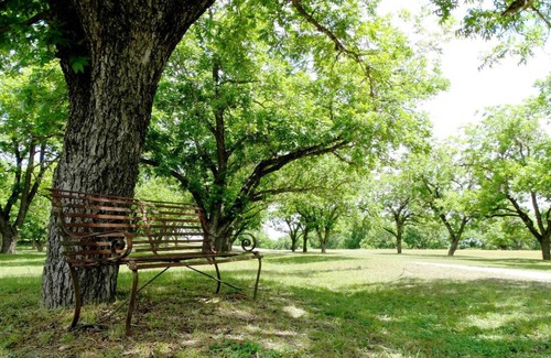 Comfort House | Large House in the Texas Hill Country