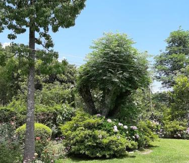 San Salvador de Jujuy House | Las Azaleas Yala