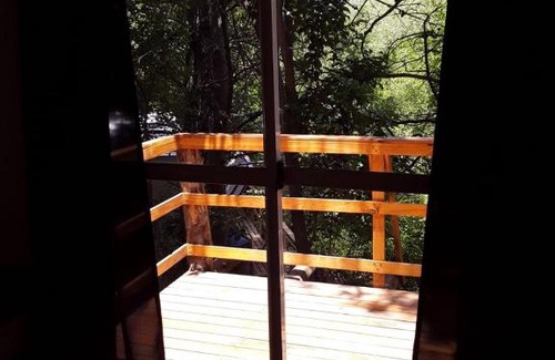 Trapiche House | Las Zarinas 4