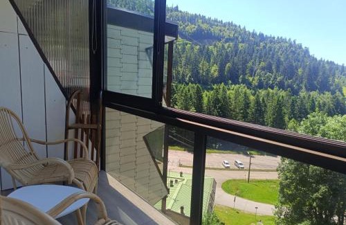 La Bresse Apartment | Le 408 des pistes
