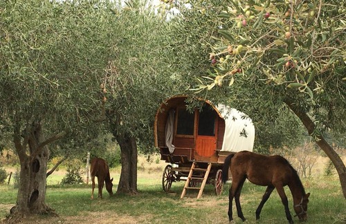 Cucugnan Other | Le Camping de Cucugnan