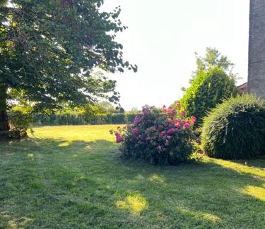 Saint-Julien-Gaulene House | Le CASTELOU d'IDA