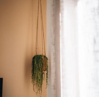 Wintzenheim Apartment | Le Cerf