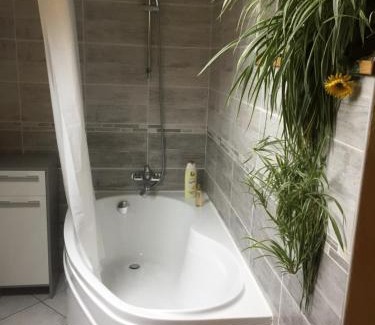 Fontaine-les-Clerval Bed & Breakfast | Le Chanois