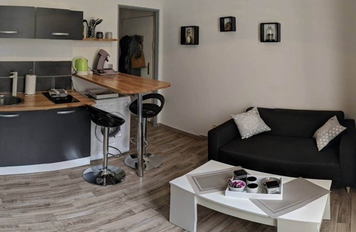 Blois Apartment | Le Cocon de Blois Amboise 1 bedroom apartment with private terrace